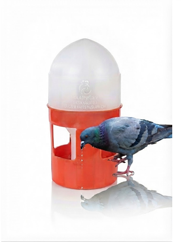 Güvercin Suluğu 1 Litre